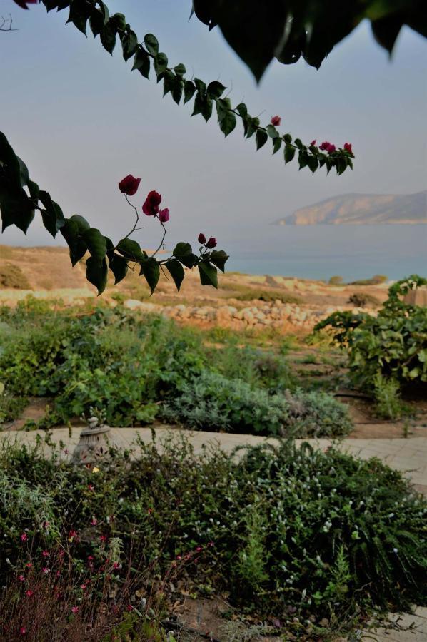 Pambelos Lodge Koufonisia Exteriér fotografie